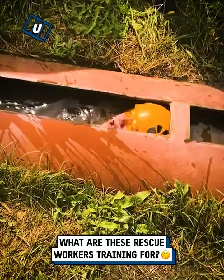 Intense rescue service training ⛑️😲
