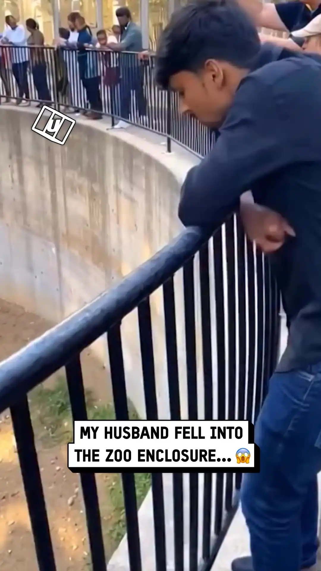 I fell into the tiger's den 😳