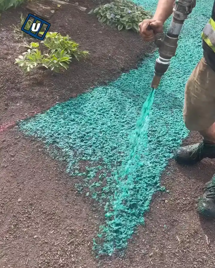 Satisfying hydroseeding process