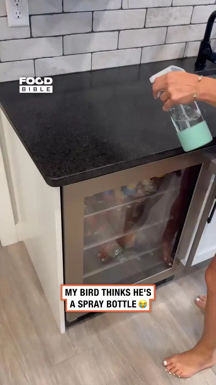 My bird thinks he's a spray bottle π