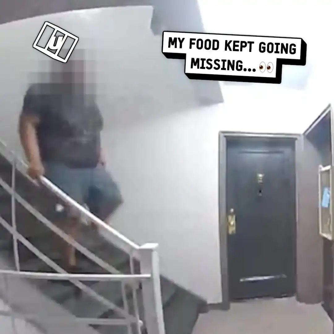 Caught on camera stealing my food 😳