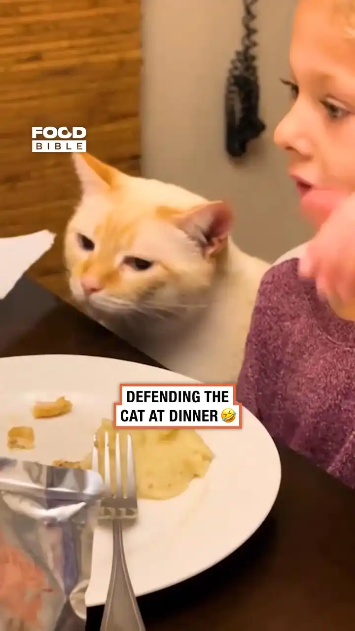 Kid defends her cat 😂