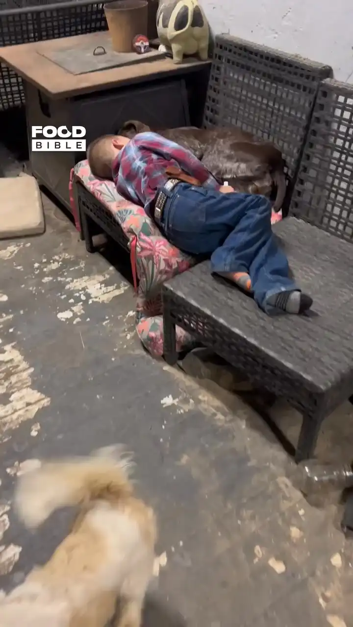 Best Buds Take a Nap on the Porch ❤️