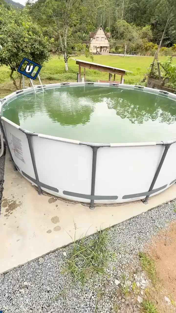 Satisfying pool cleaning process 😲🧽