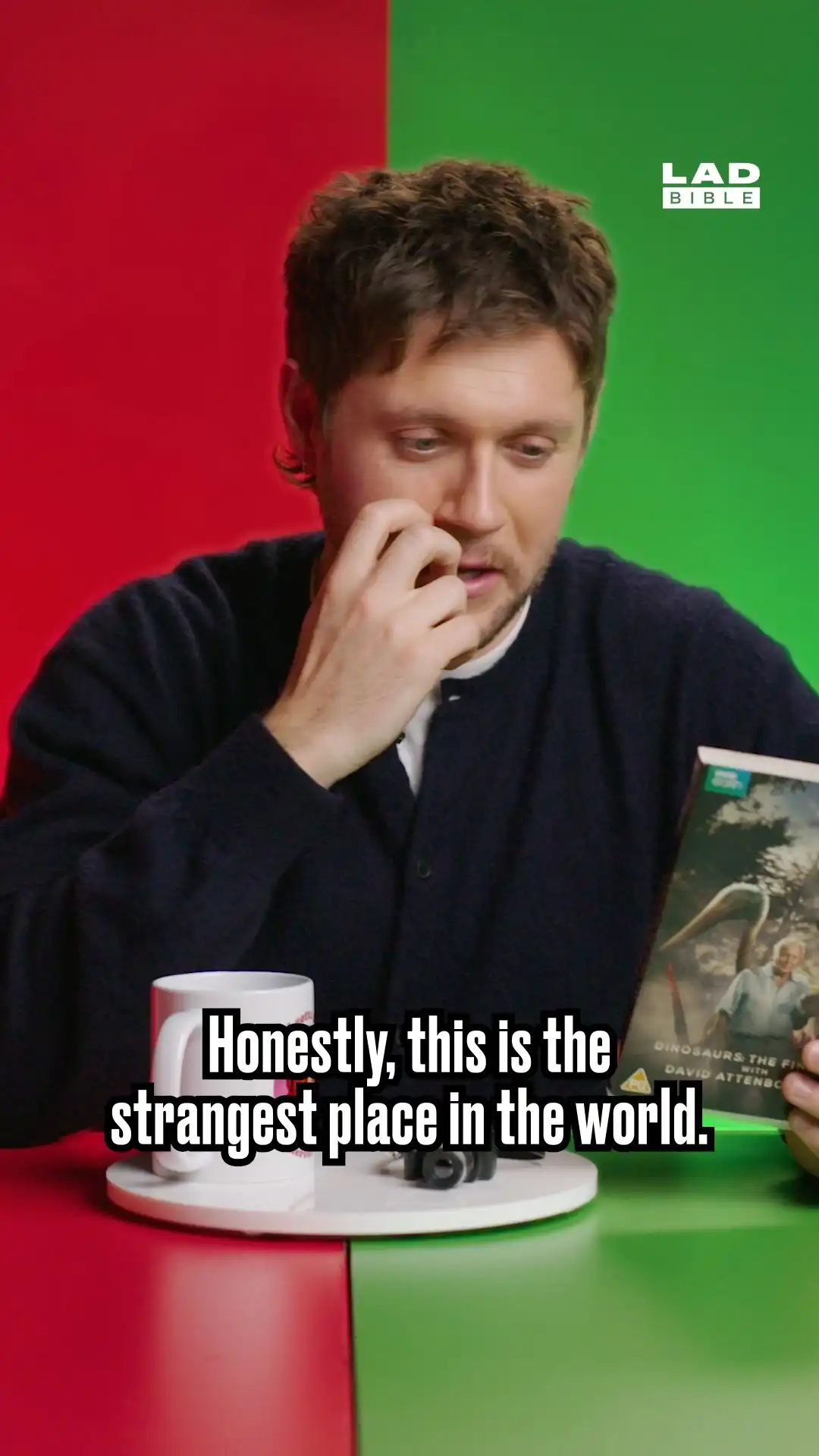 Niall Horan talks about documentaries
