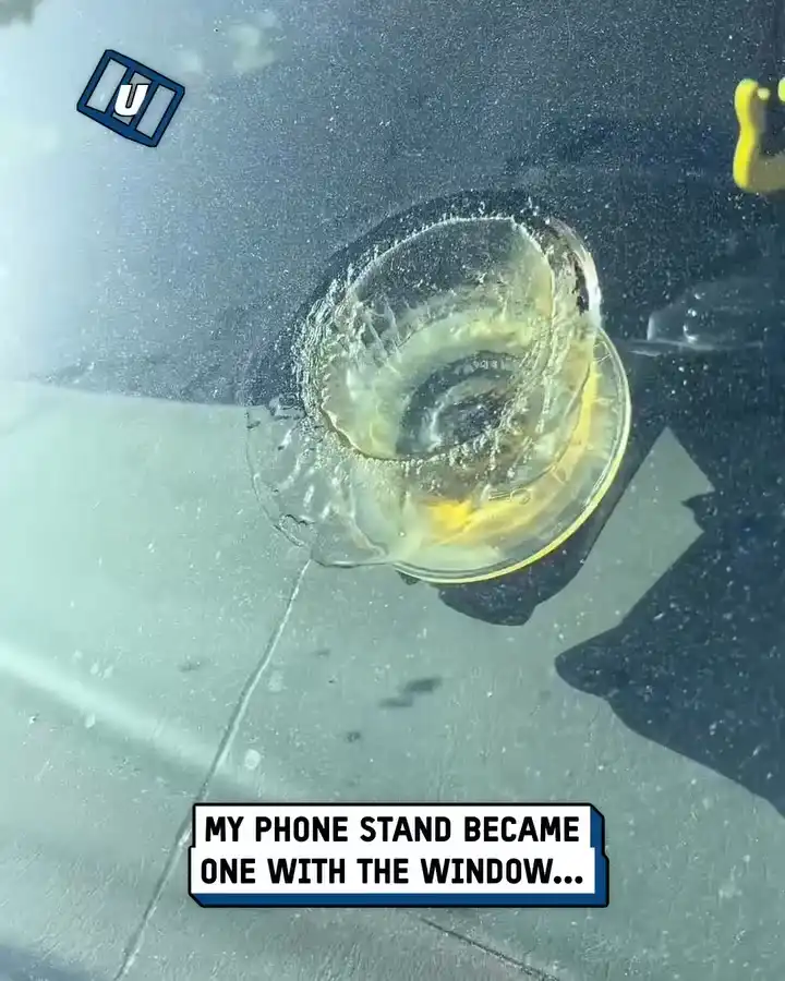Windshield suction cup fail 🔥🤦‍♀️
