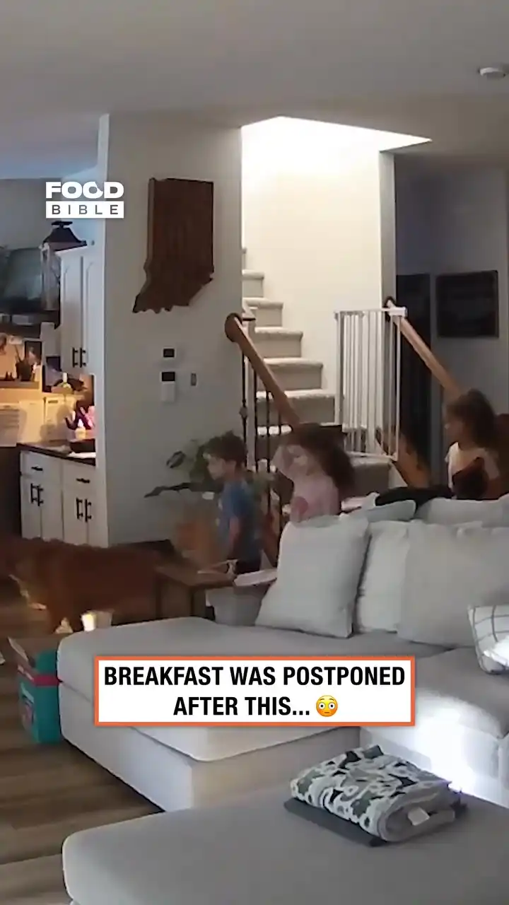 Not a great start to the day 🤦🤕