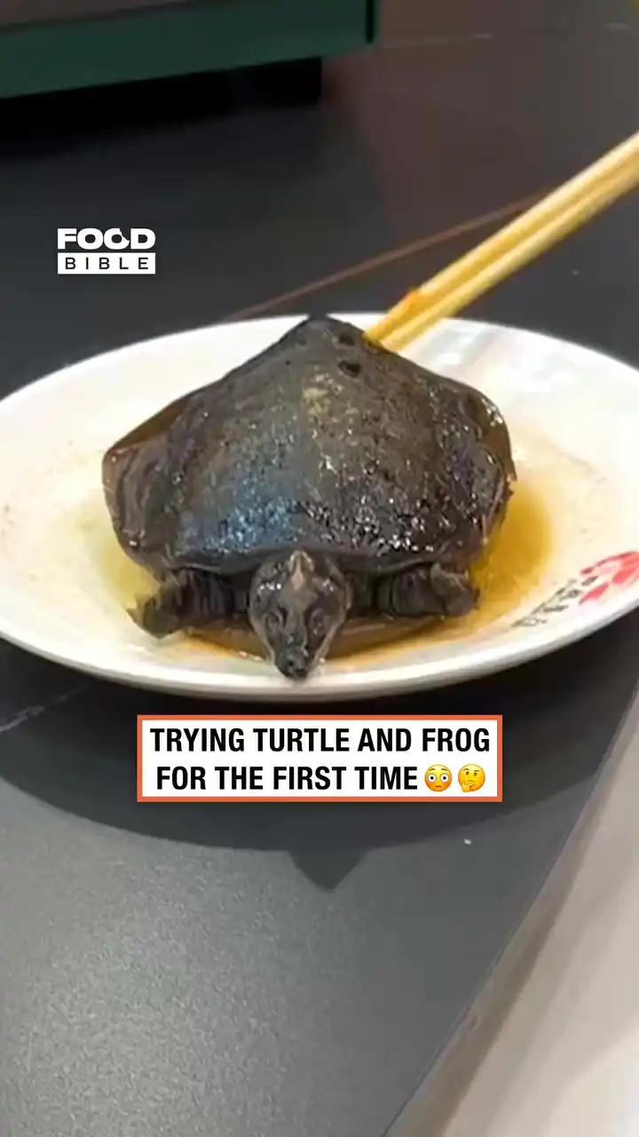 Trying turtle and frog dishes in China 🇨🇳😮‍💨