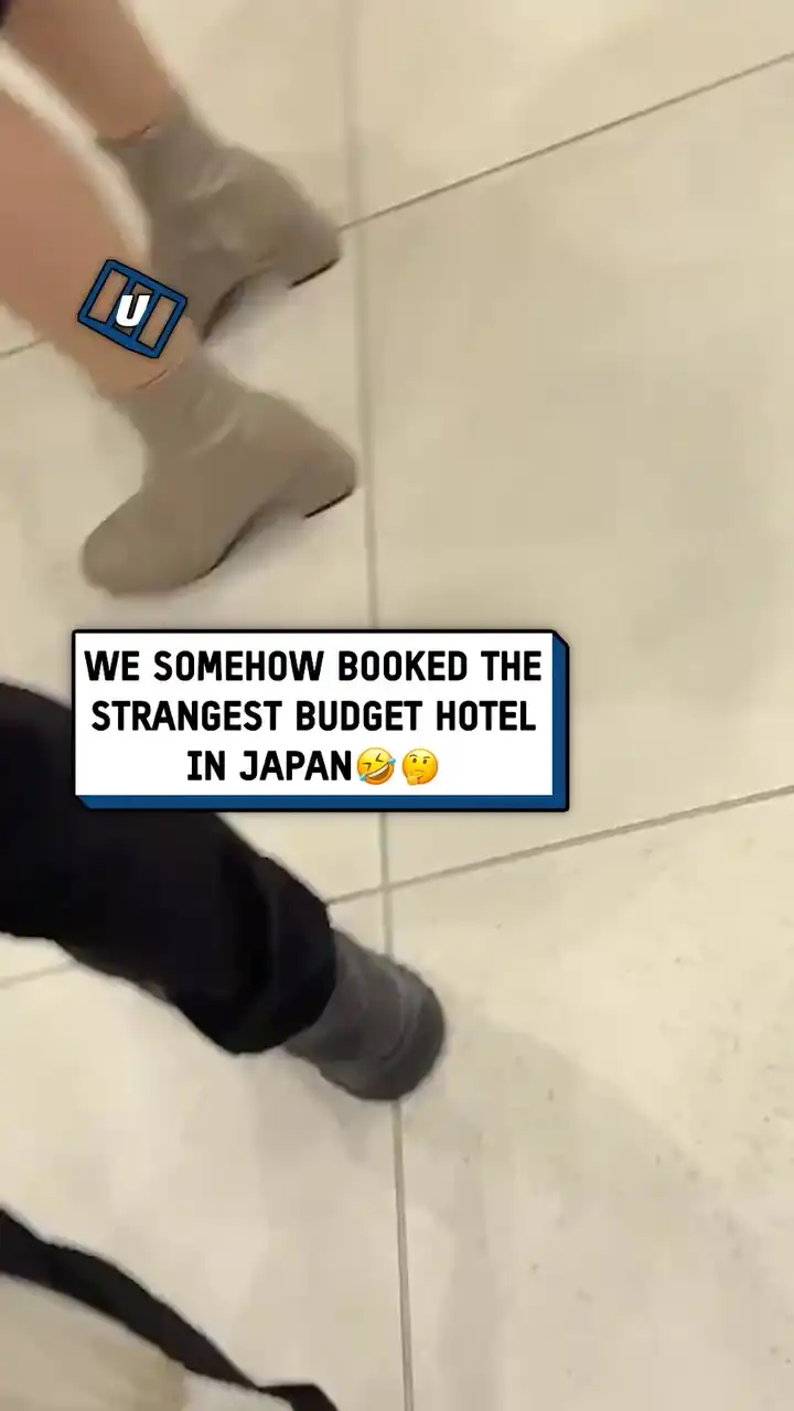 I got checked in by a dinosaur 🦖😲