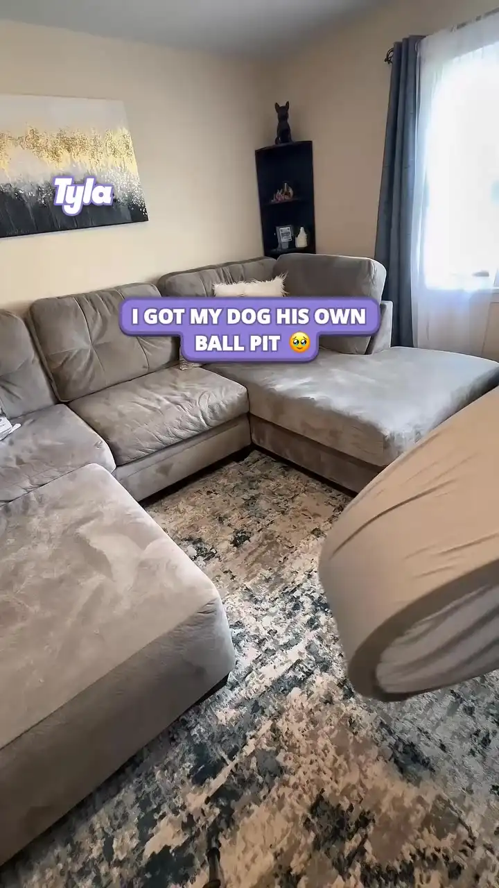 To be as happy as a dachshund in a ball pit 🥹😭 #fblifestyle