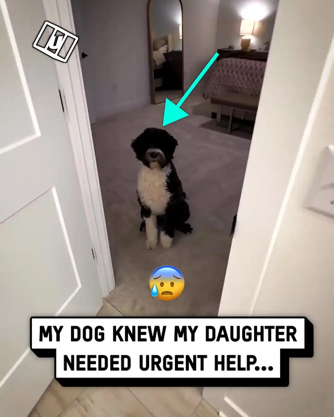 Service dog alerts my daughter in her sleep 😴