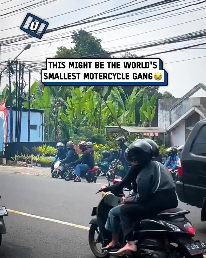 This is the cutest biker gang I've ever seen 🥺🤣