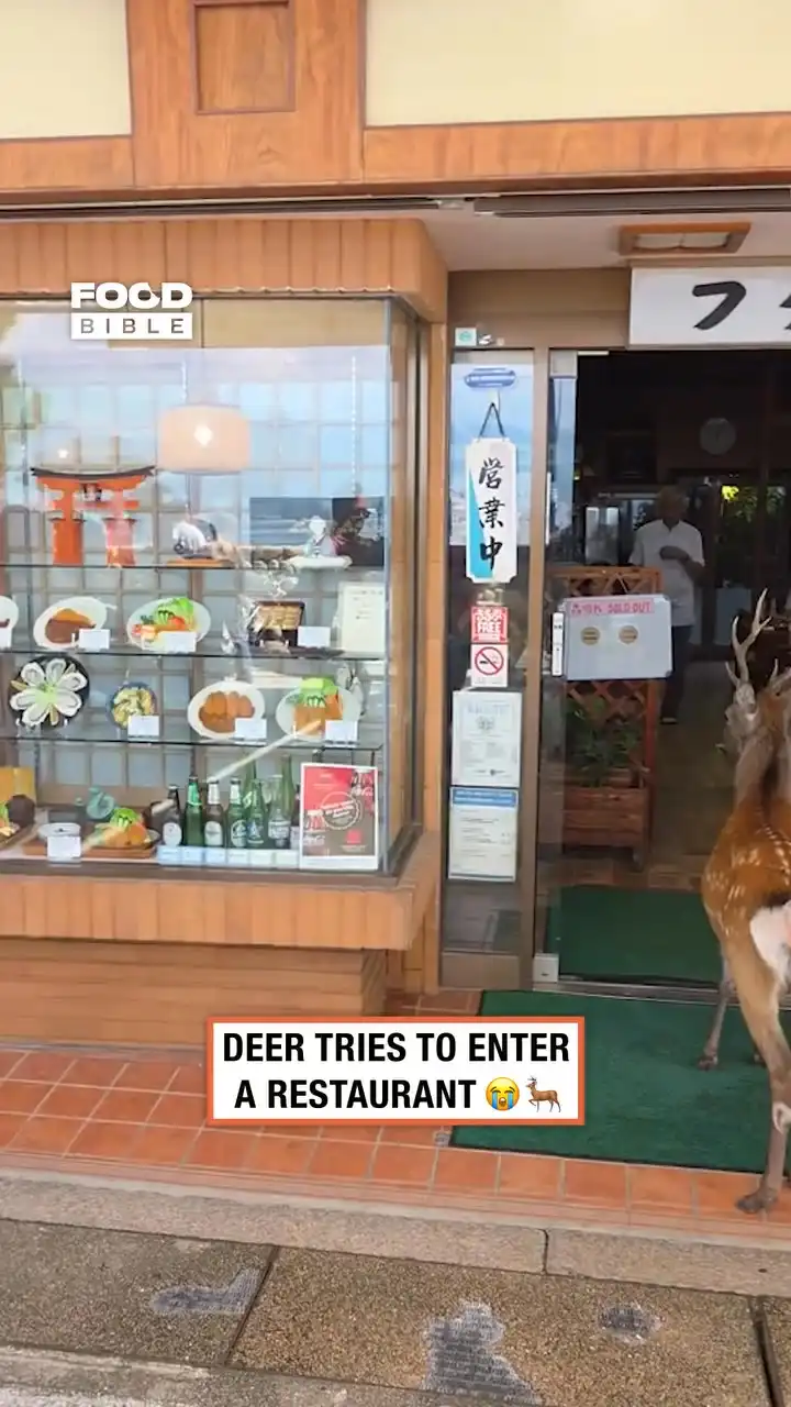Deer denied entrance to restaurant in Japan 🦌