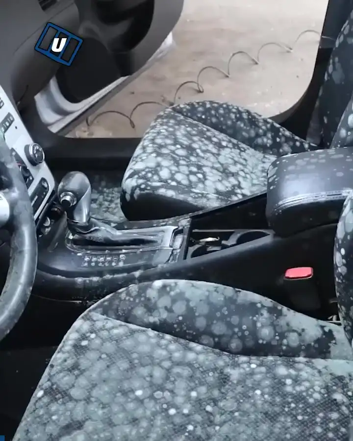 World's Mouldiest Car Deep Cleaned π€’π·