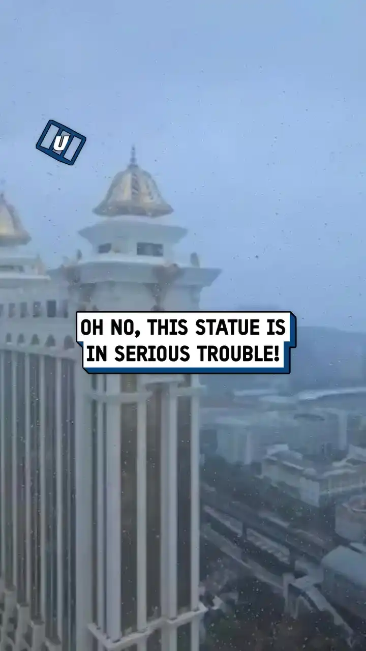 It could fall at any minute... 😱😳