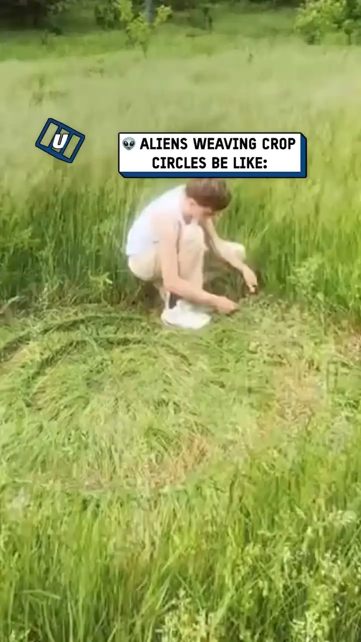 Weaving crop circles 👽🌾