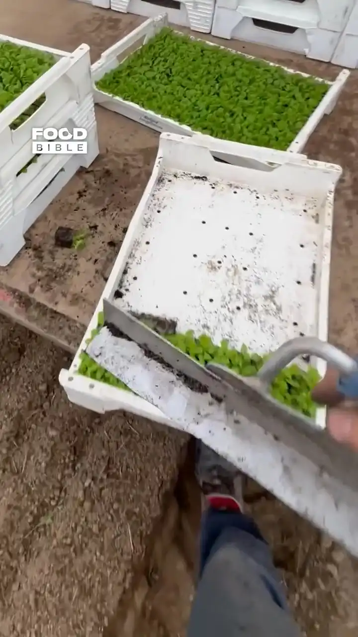 Where do I apply? 👀😂