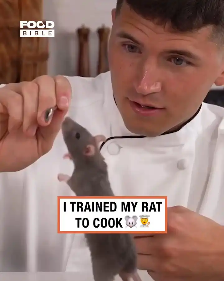 Training my rat to cook 🐀🧑‍🍳