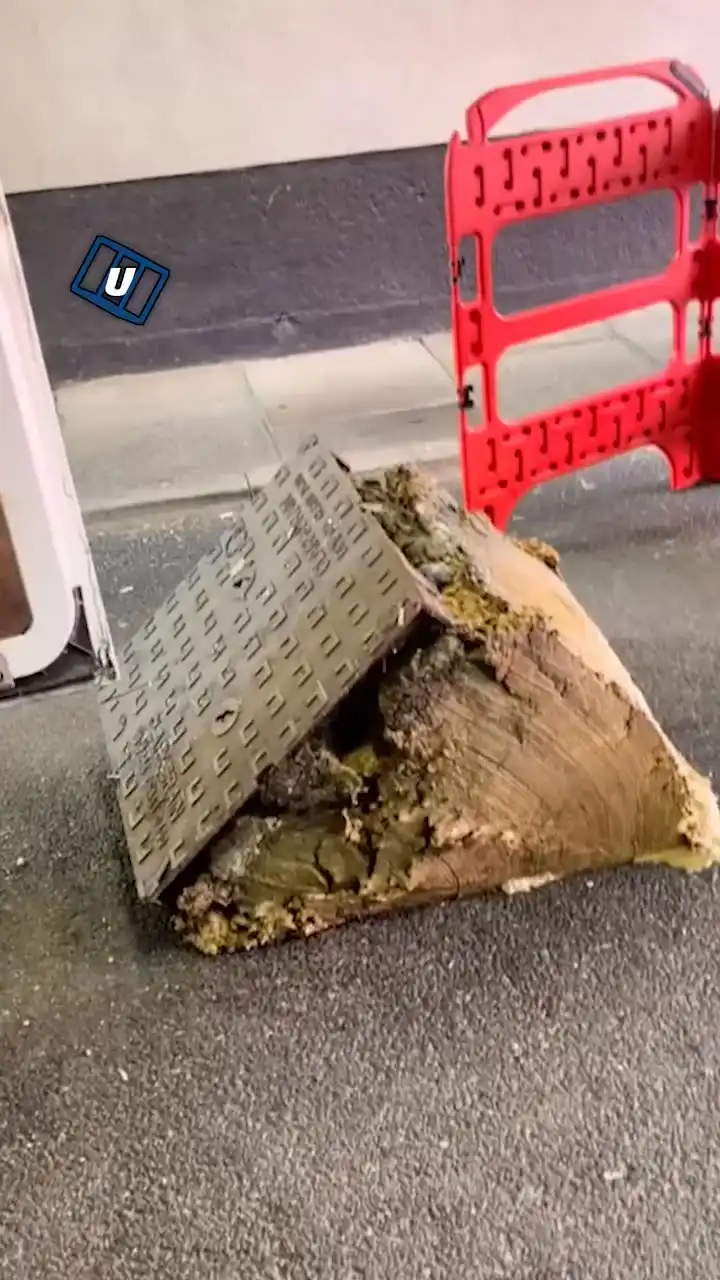 I feel like this after eating Taco Bell 🌮🤣 #fblifestyle