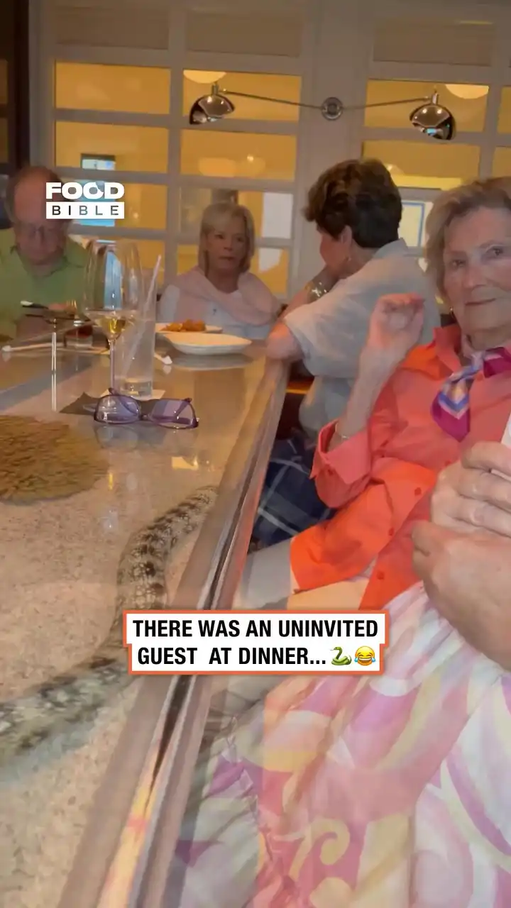 Gran shocked by snake table 🐍