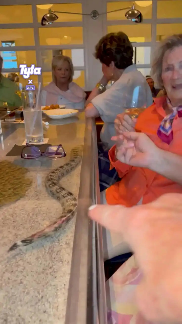 Gran shocked by snake table 😳🐍