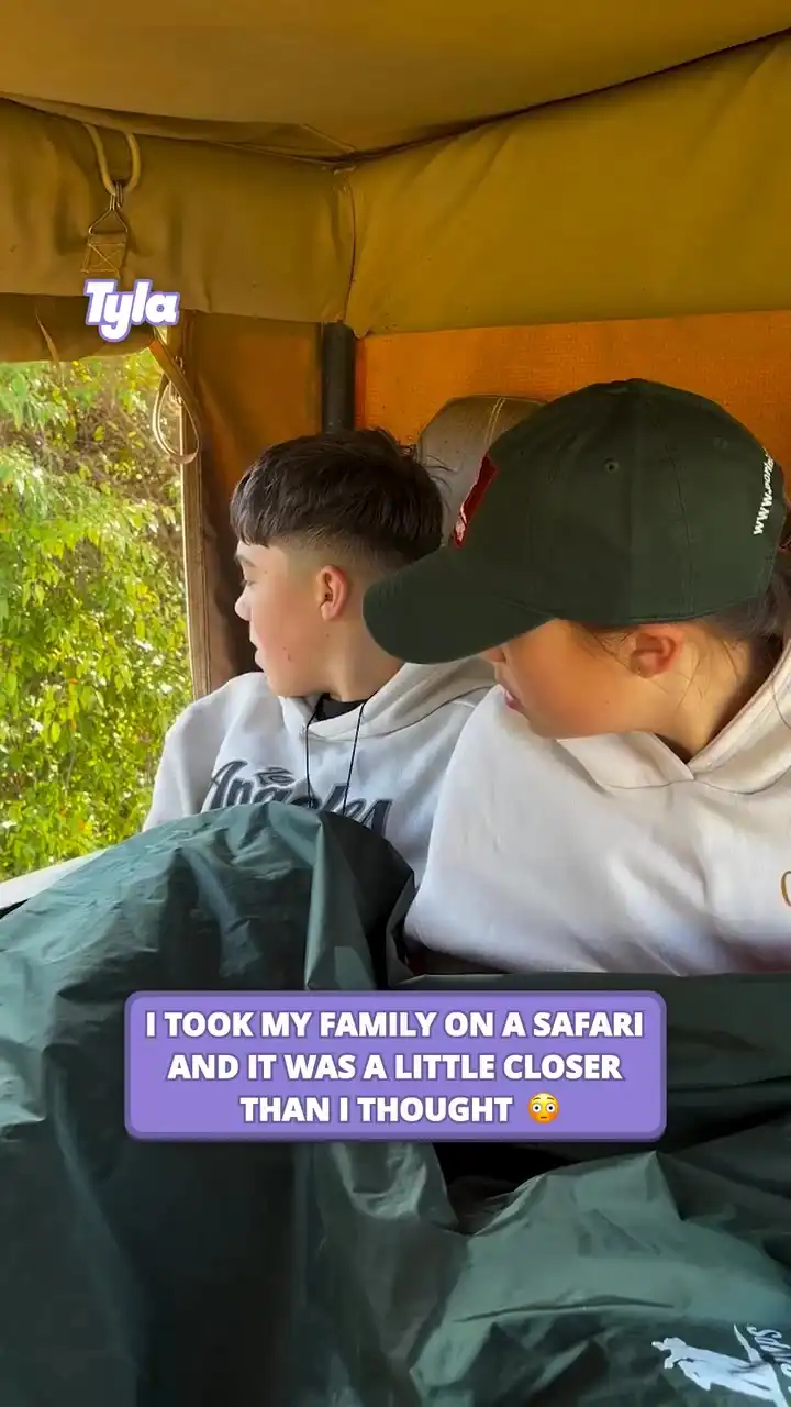 I took my family on a safari and it was a little closer than I thought 😳🦁