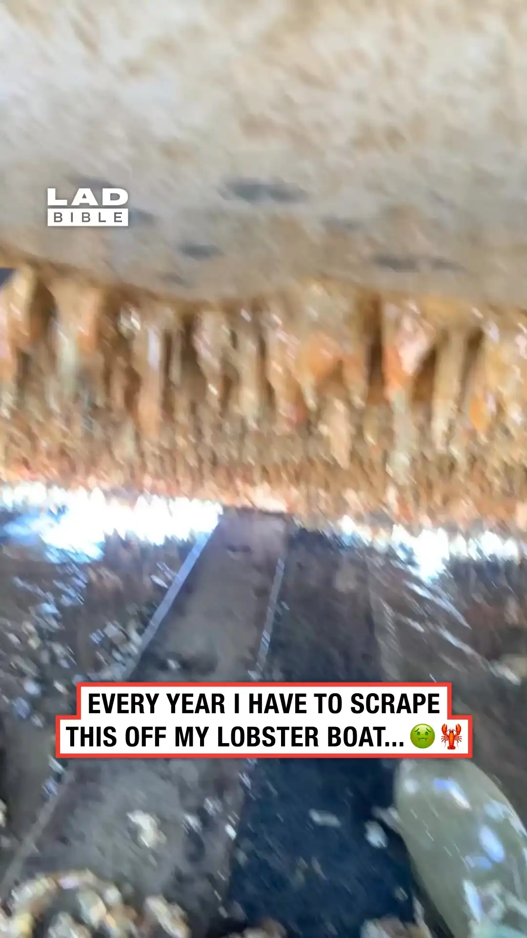 Scraping gunk off a lobster boat 🥴