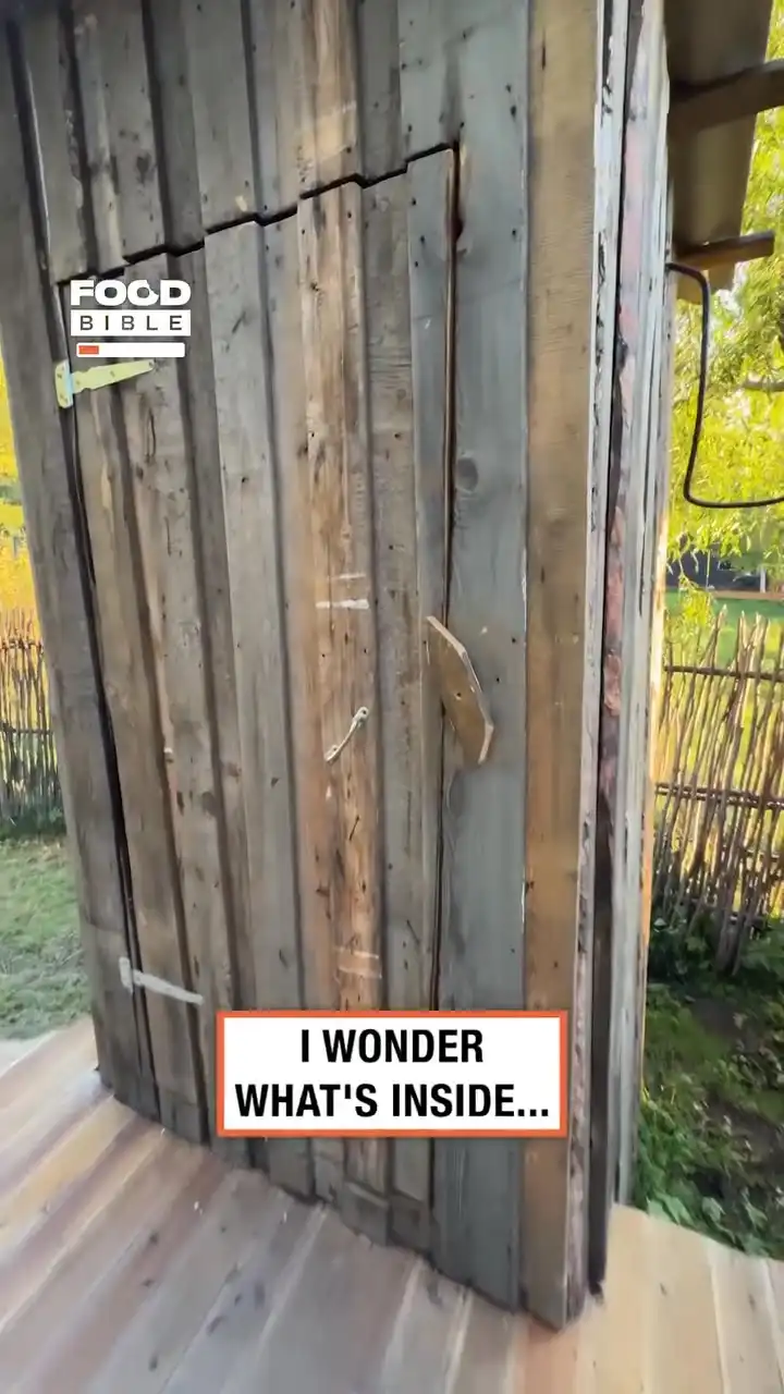 Thought I found the Shrek toilet π