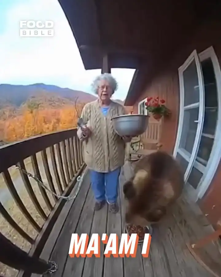 Woman feeds her pet bear π»