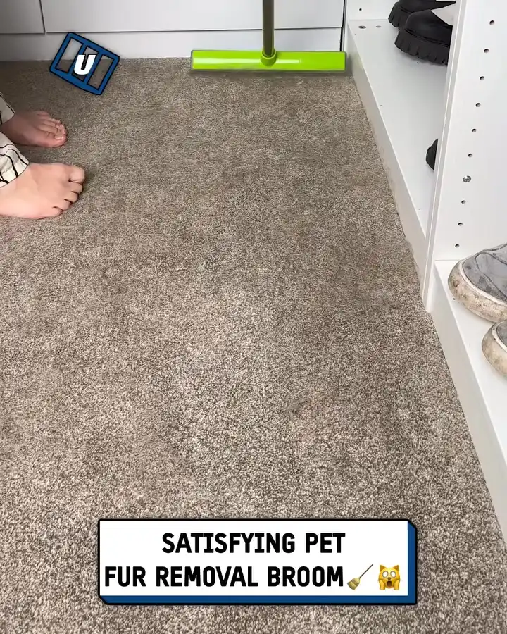 Satisfying pet fur broom 🧹😲
