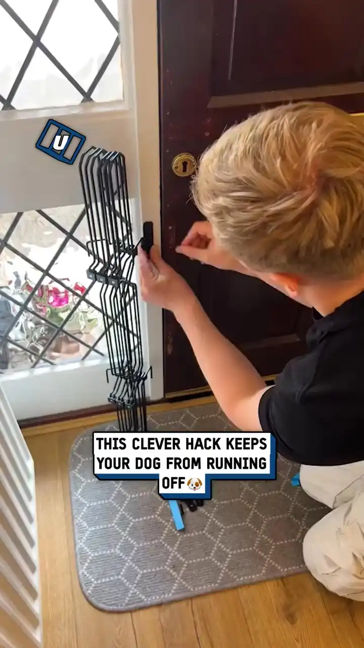 No dog is escaping from this 😲🐶 #fblifestyle