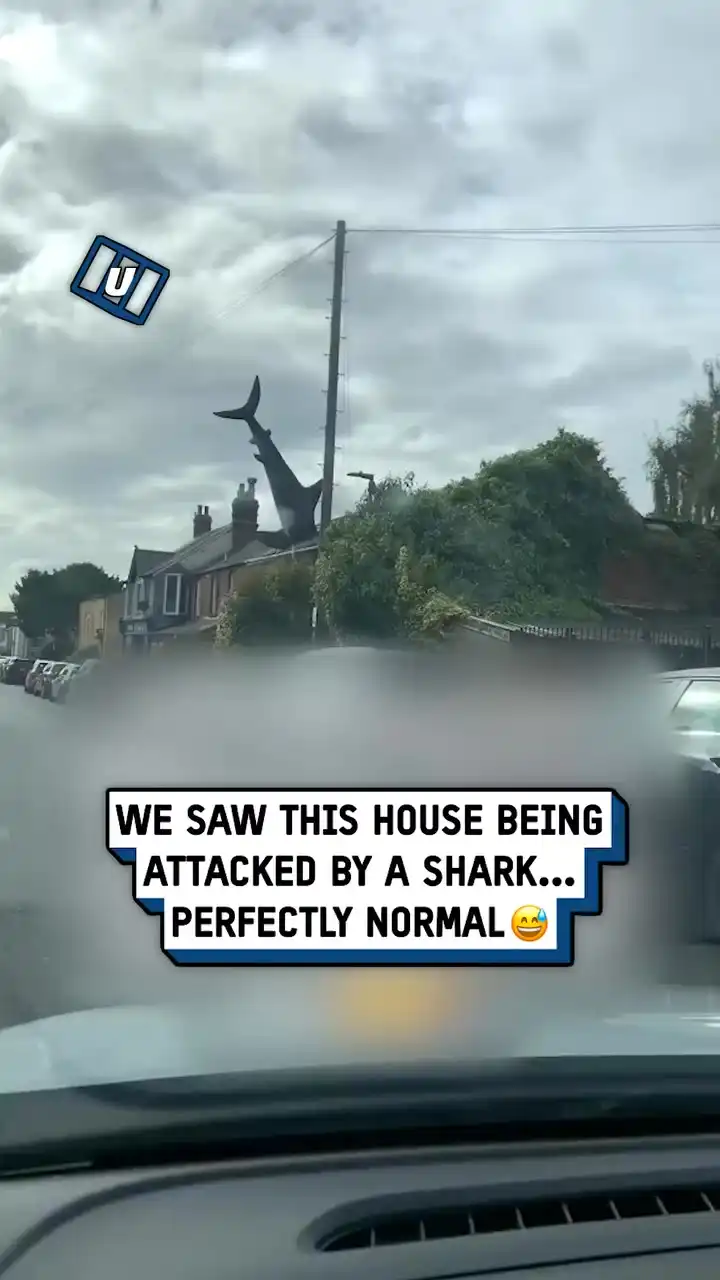 It must have started raining sharks ๐ฆ๐ฎ #fblifestyle