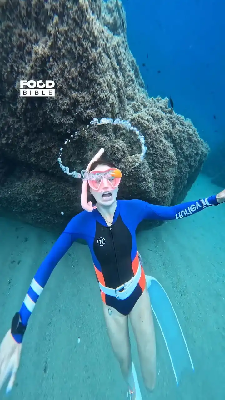 Egg Yolk Captured in a Bubble Ring 🥚