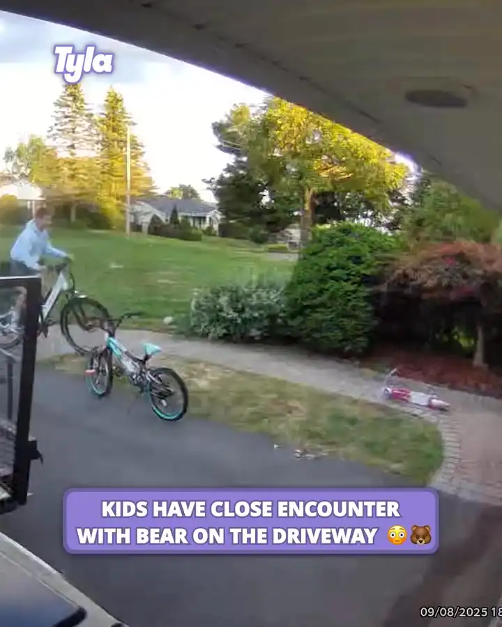 Kids have close encounter with bear in the driveway ๐ณ๐ป