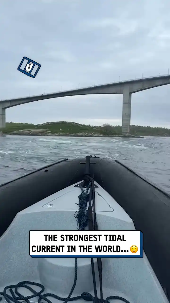 Strongest tidal current in the world 😱🌊