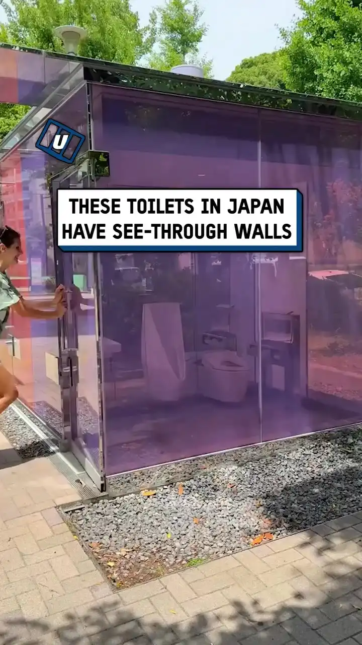 Public toilet with invisible walls ๐ฝ๐ฑ