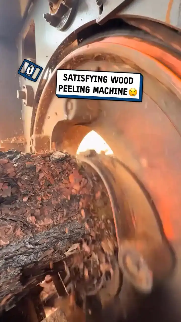 Satisfying wood peeling machine 🪵😲