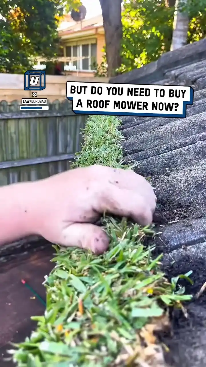 Making a gutter garden 😍🪴