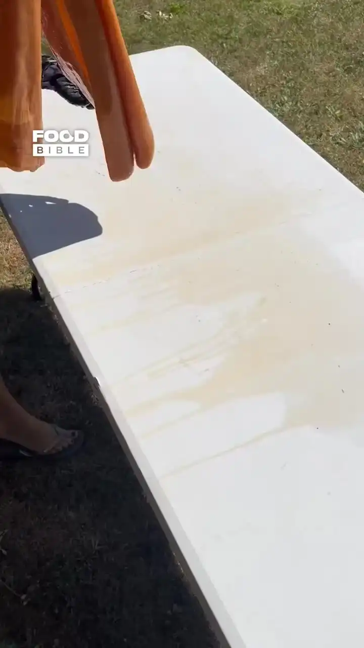 Kombucha leather jacket 😯