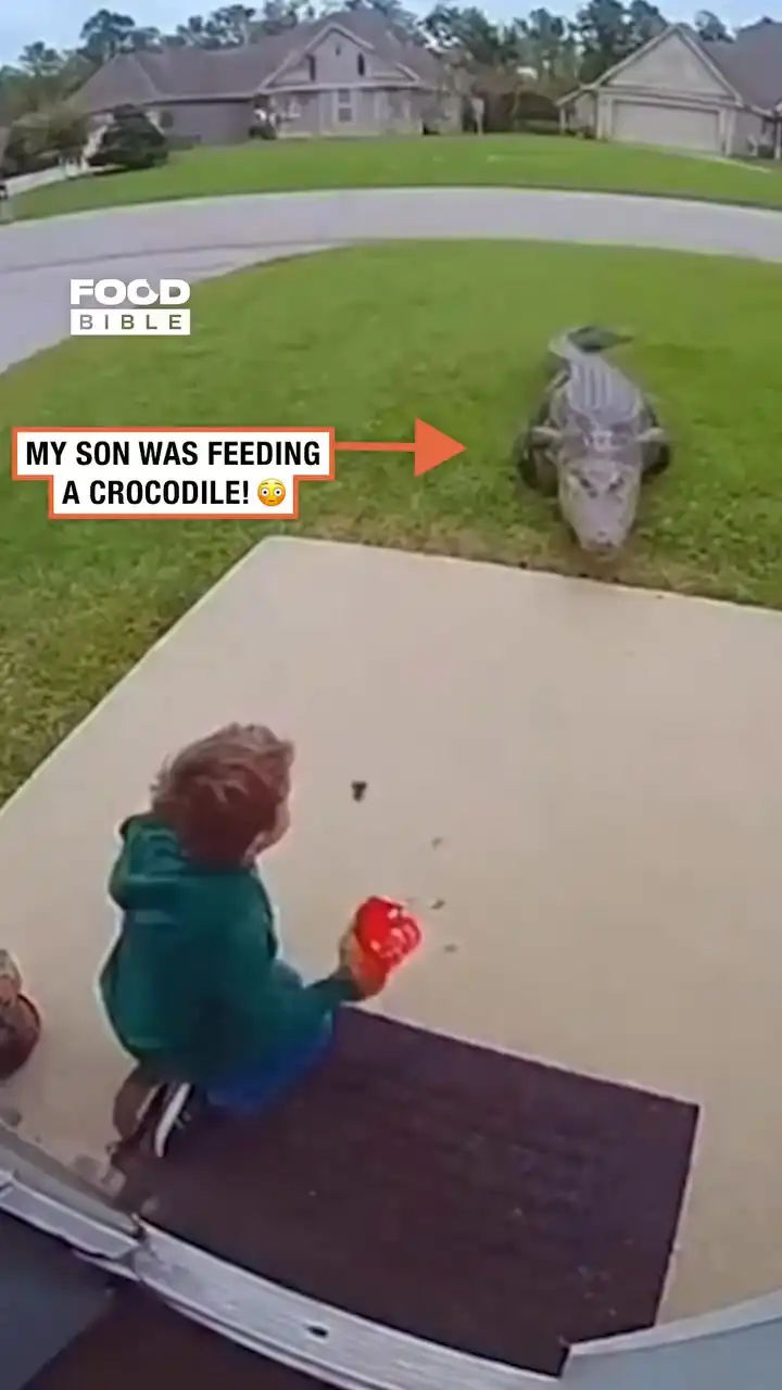 Mom Saves Son From Hungry Crocodile 😱🐊