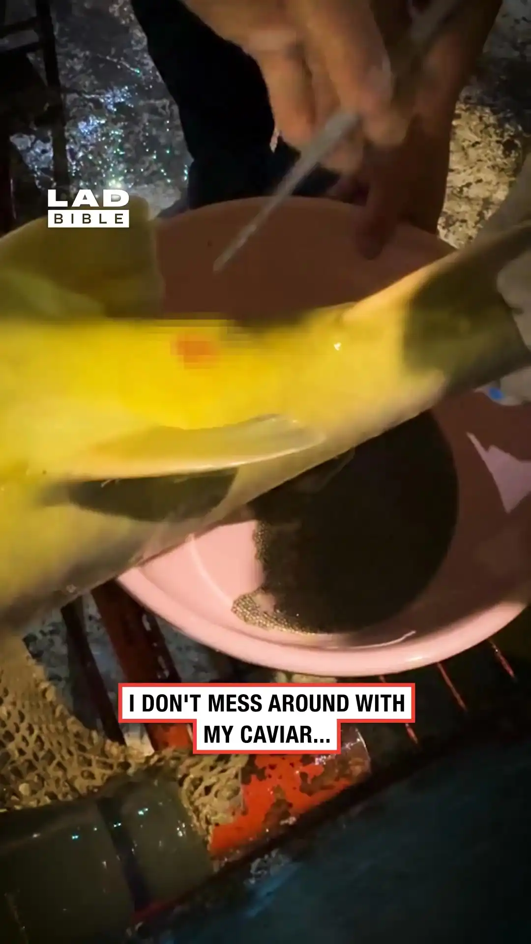 Releasing caviar from my fish 😳🐠