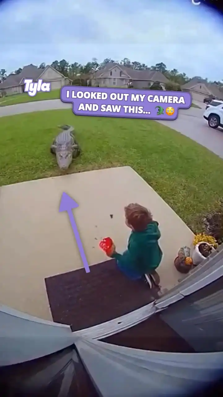 I looked out my camera and saw this π±π