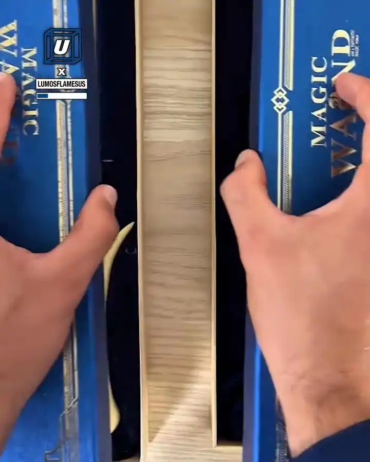 Harry Potter wand actually shoots spells πͺπ₯