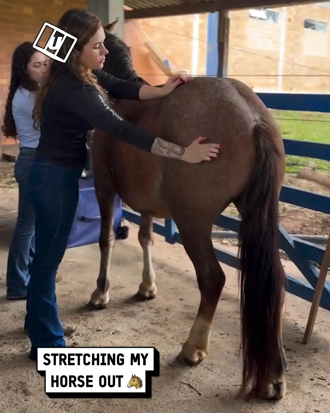 Stretching my horse out π