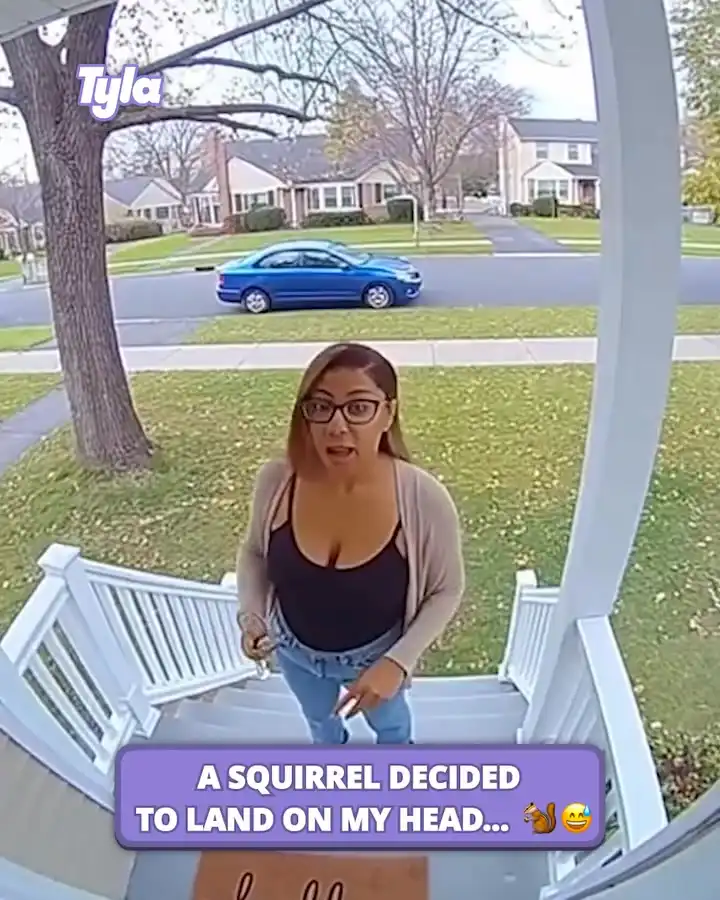 Squirrel lands on woman's head