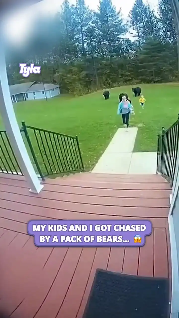 Mum and kids get chased by a pack of bears 😳