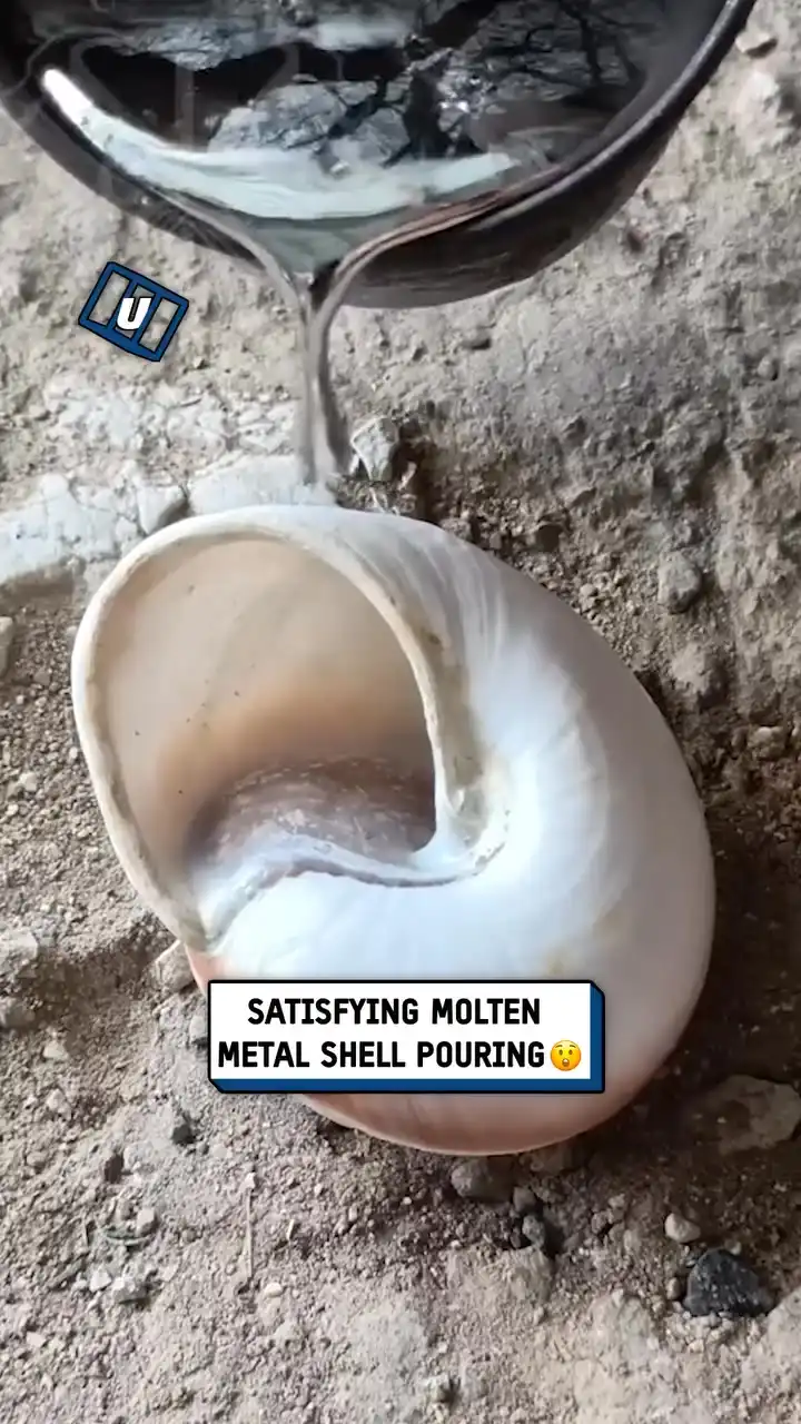 Satisfying molten metal shell pouring 🐚😲