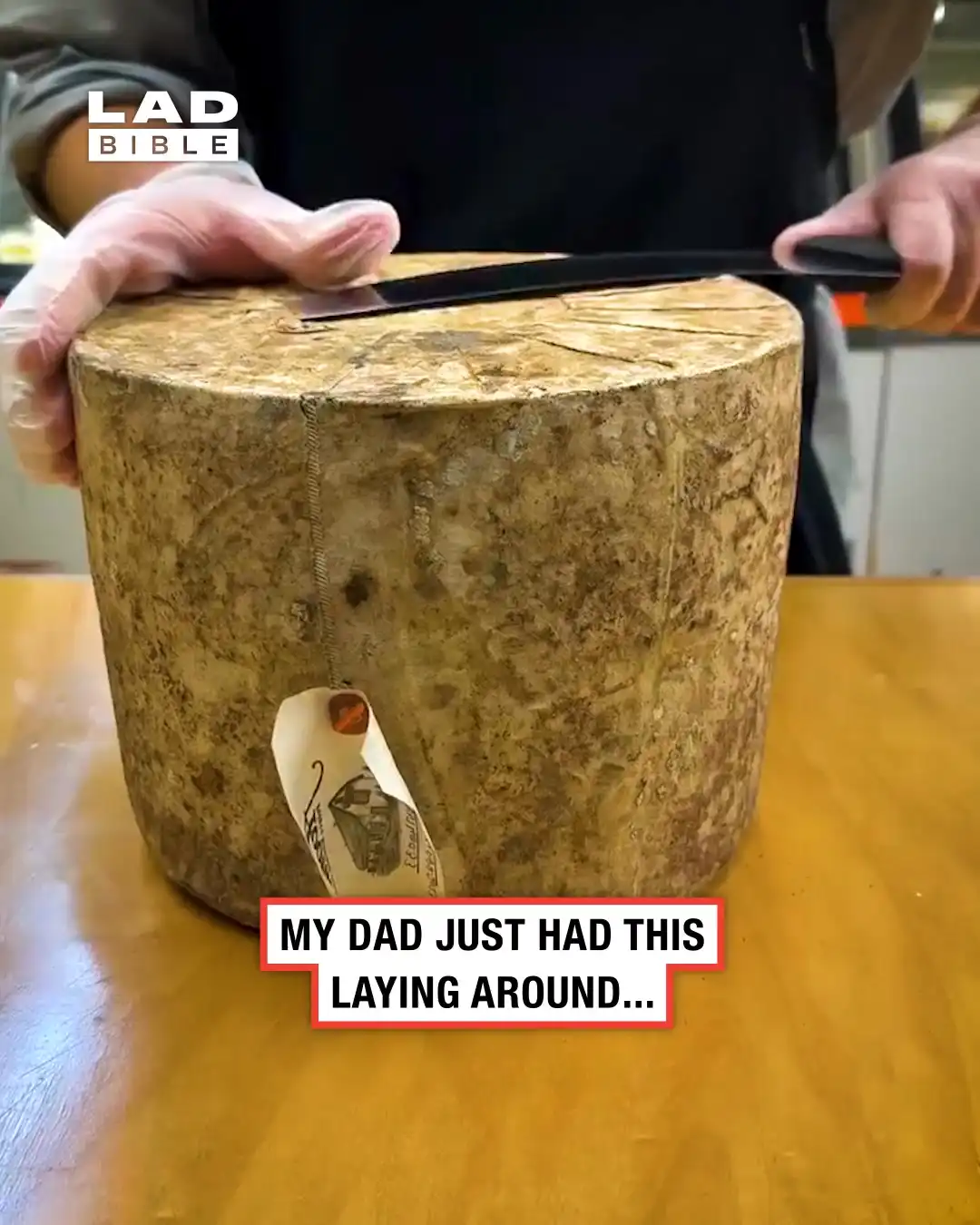 Satisfying cheese cut 🧀