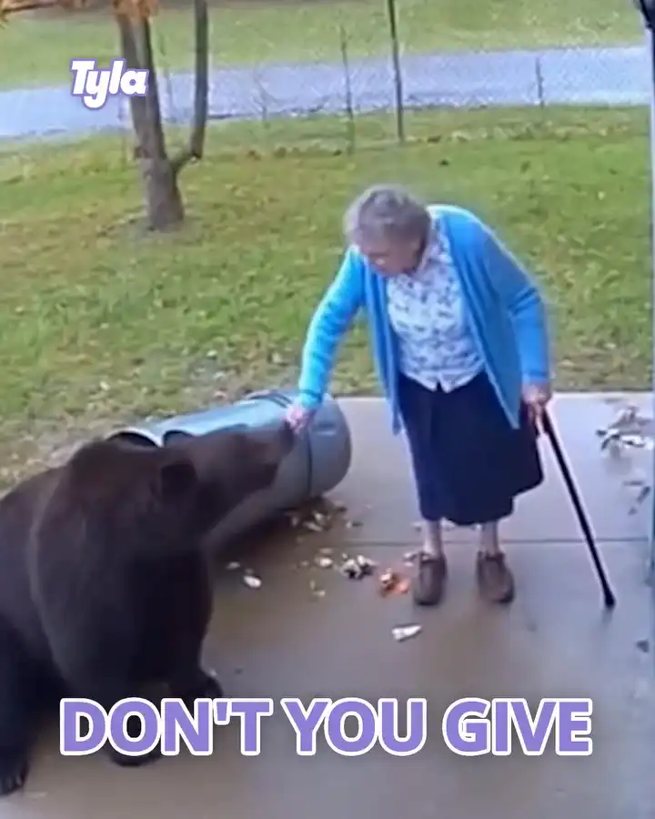 Gran has no problem telling brown bear off for knocking bin over