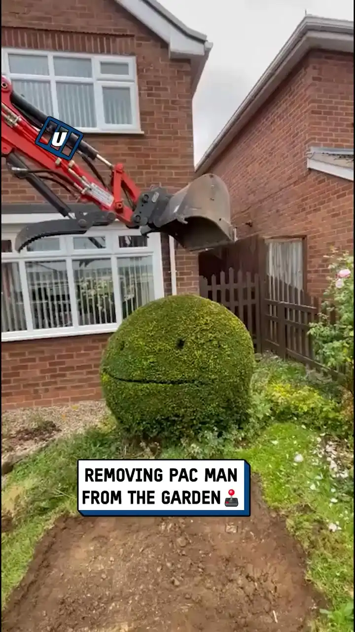 Pac-Man bush removal 🌳😲